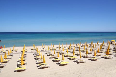 Day, Beach, sunbed