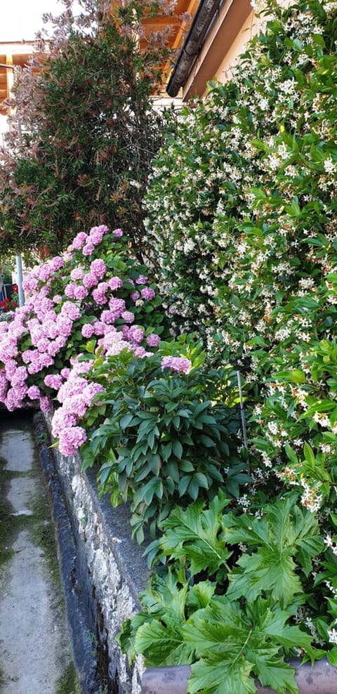 Apartments Ivanovski Apartment in Lika-Senj County