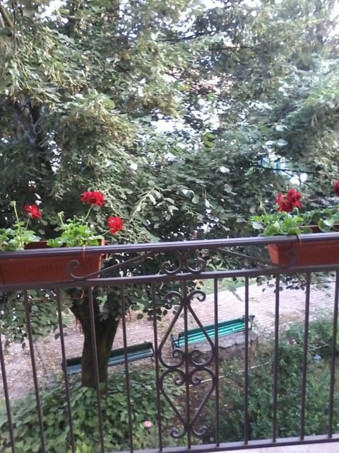 Apartments Olga Apartment in Podgorica Municipality, Montenegro