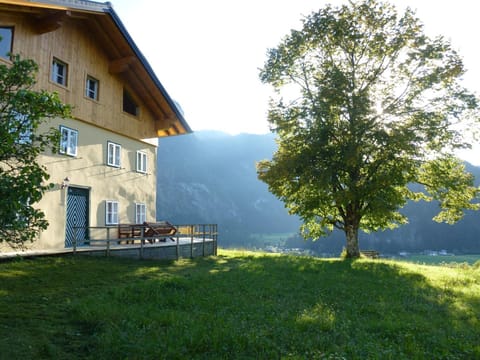 Property building, Summer, Garden