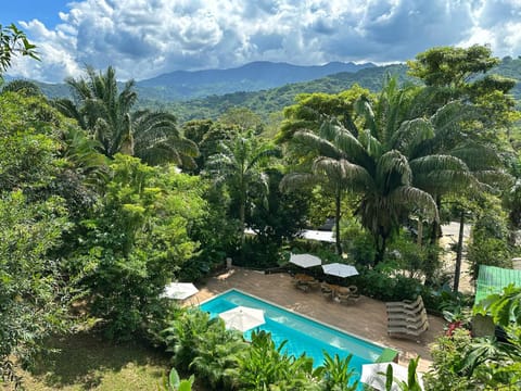 Day, Natural landscape, Garden, Swimming pool, sunbed
