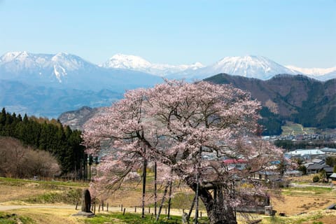 Spring, Off site, Day, Natural landscape