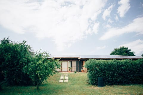 Property building, Spring, Day, Garden view