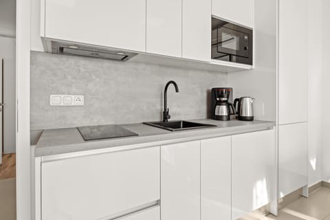 Kitchen or kitchenette, kitchen