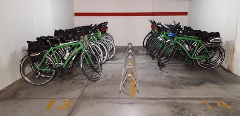 On site, Area and facilities