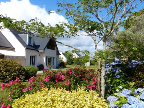Property building, Garden, Garden view