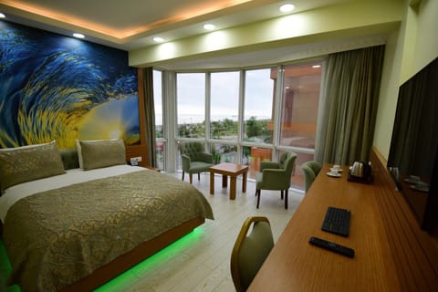 Photo of the whole room