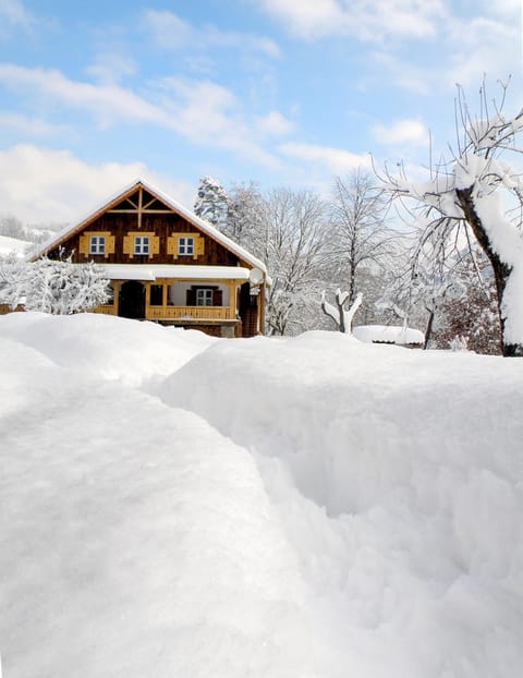 Facade/entrance, Winter, Skiing, On site
