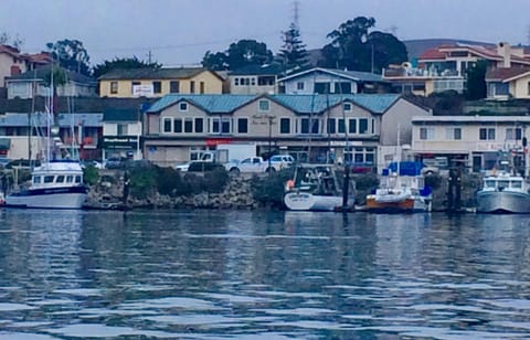 Neighbourhood, Sea view