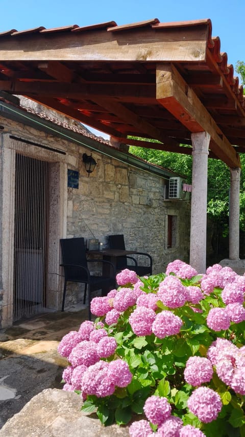 Property building, Patio, Spring, Day, Garden, Dining area, Garden view
