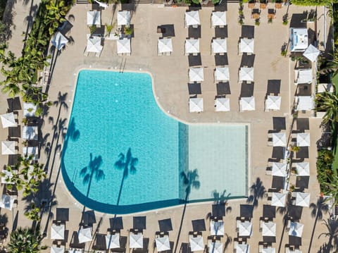 Activities, Garden, Food and drinks, Dining area, Swimming pool, Drinks