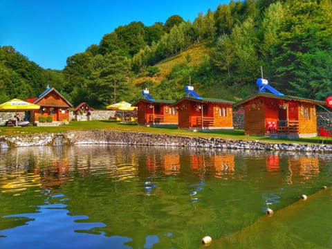 Lake view