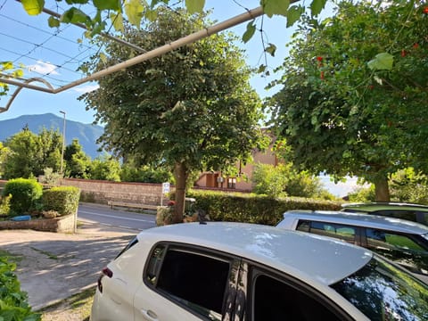 Apartment Cizek 2 Apartment in Dobrota