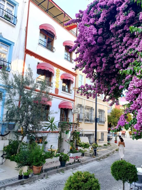 Property building, Spring, Day, Neighbourhood, Garden, Garden view, Street view, Location