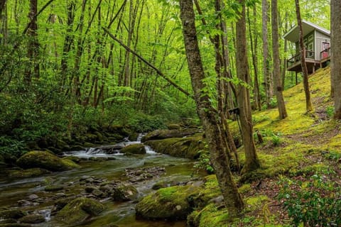 Property building, Natural landscape, On site, River view