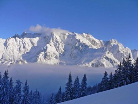 Am Berg 34 Apartment in Salzburgerland