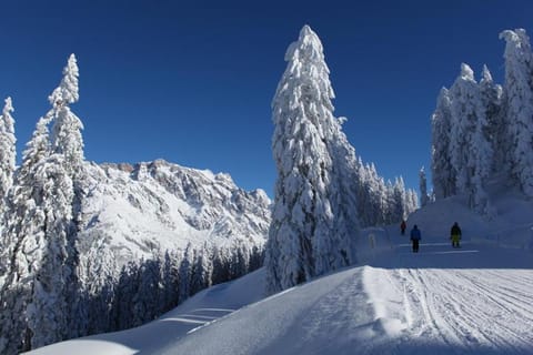 Am Berg 34 Apartment in Salzburgerland