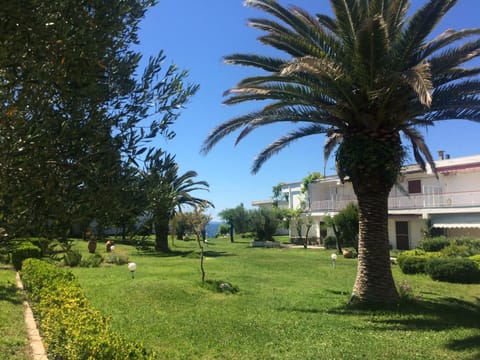 Summer, Garden, On site, Garden view