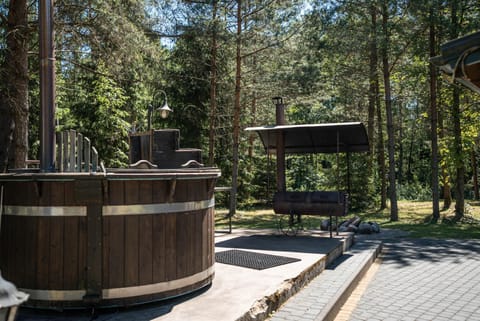 Namelis su pirtele House in Lithuania