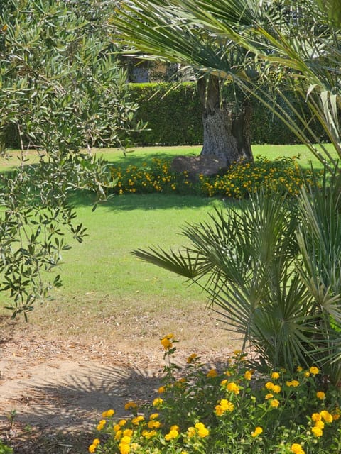 Agriturismo Is Solinas Bed and Breakfast in Sardinia
