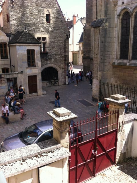 Le Nid De La Chouette Apartment in Dijon