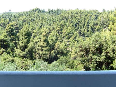 MaGia Peristeridi Apartment in Halkidiki