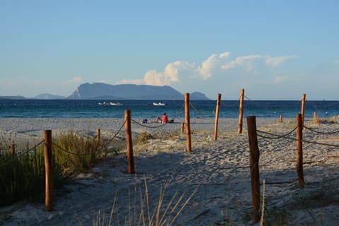 Nearby landmark, Natural landscape, Fishing, Beach, Diving