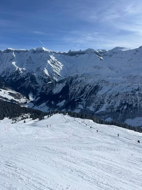 Winter, Skiing, Skiing, Mountain view