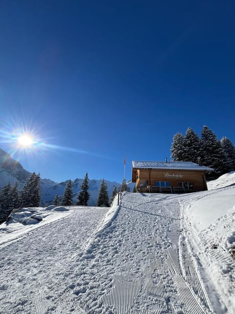 Property building, Winter