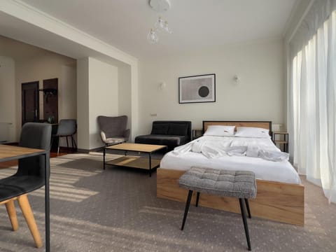 Bed, Living room, Photo of the whole room, Seating area, Bedroom