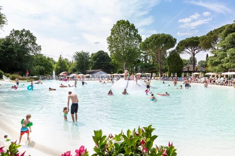 Aqua park, Swimming pool