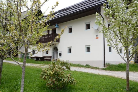 Facade/entrance, On site, Pets, Pets