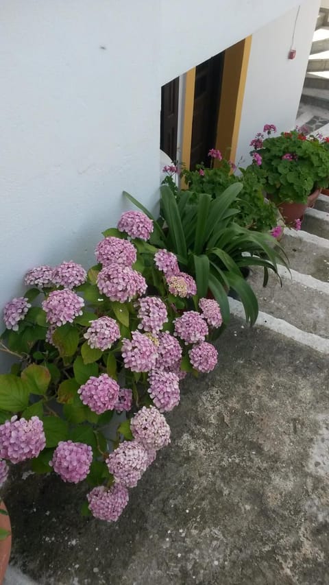 Green Hill Seaside Studios Apartment in Samos, Greece