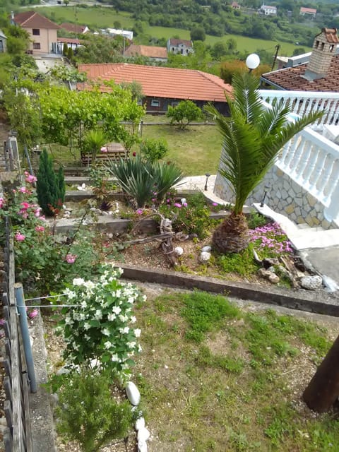 Garden, Decorative detail, Inner courtyard view