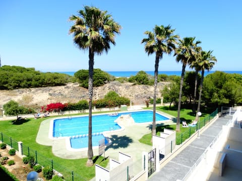 Spring, Day, Natural landscape, Garden, Garden, Balcony/Terrace, Balcony/Terrace, Beach, On site, Garden view, Pool view, Sea view, Swimming pool, Swimming pool