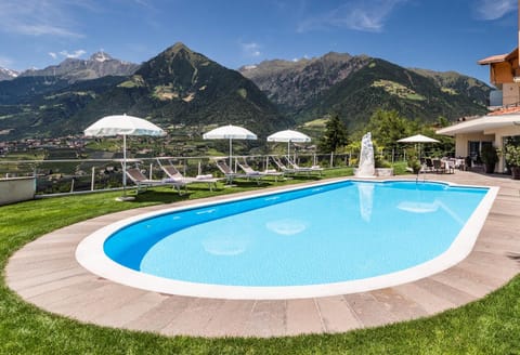 Day, Garden, Swimming pool, Swimming pool