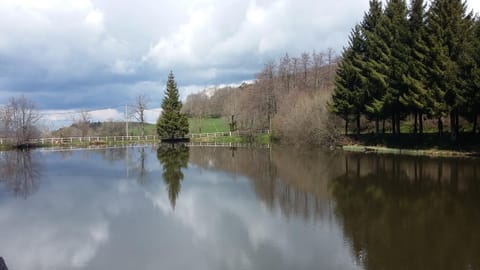 Activities, Lake view