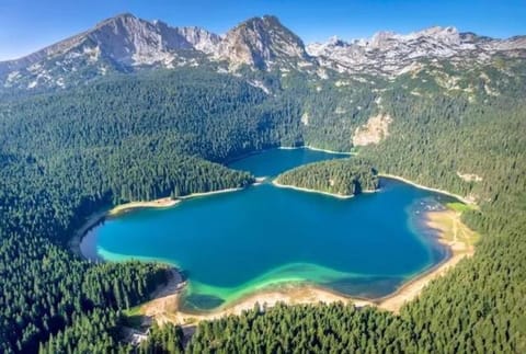 Vila Dragana Apartment in Montenegro