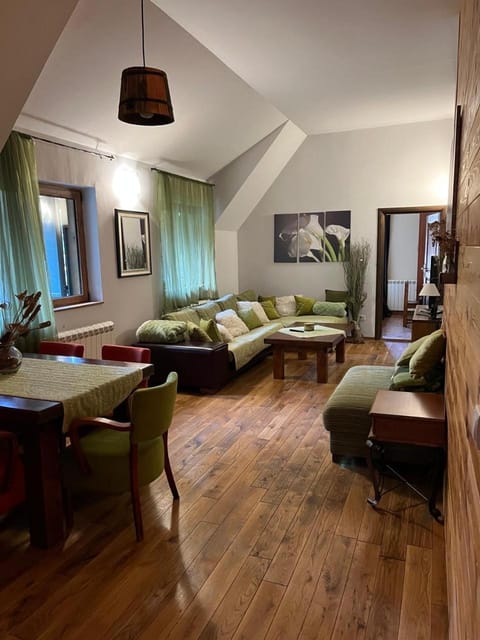 Vila Dragana Apartment in Montenegro