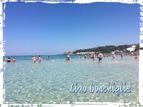 Restaurant/places to eat, Natural landscape, Beach, Area and facilities, Supermarket/grocery shop, Shopping Area
