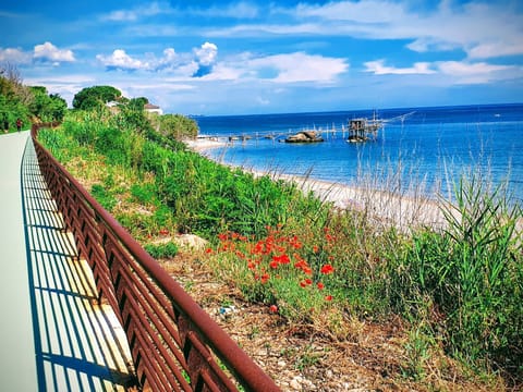 Nearby landmark, Natural landscape, Activities, Beach, Beach, On site, Sea view, Entertainment, Certificate/Award, Certificate/Award