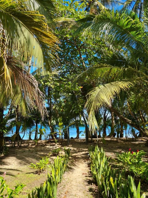 Beach, Garden view