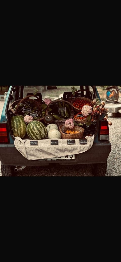 Agriturismo Corte San Girolamo Farm Stay in Mantua