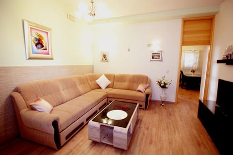 TV and multimedia, Living room, young children, older children, group of guests, Family
