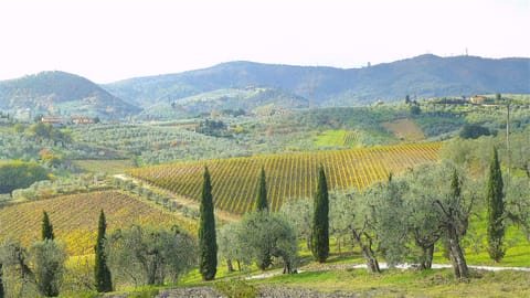 Natural landscape, Landmark view