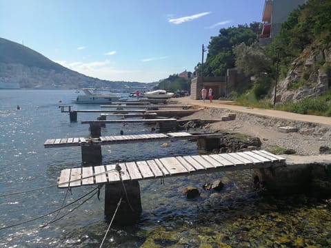 Sea view, Area and facilities