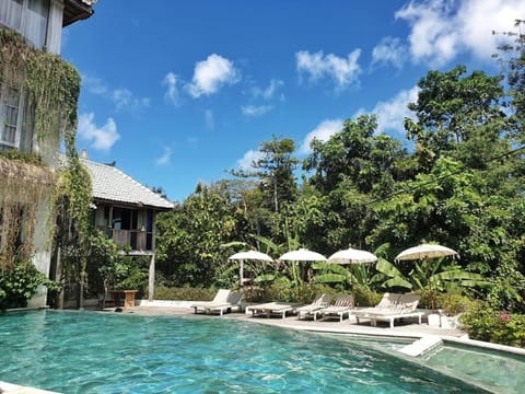 Pool view, Swimming pool