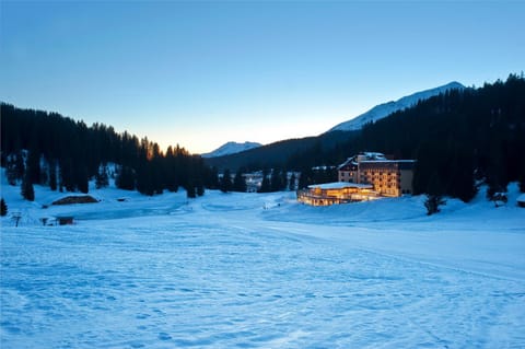 Natural landscape, Winter