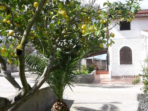 B&B I 4 Venti Bed and Breakfast in Sardinia