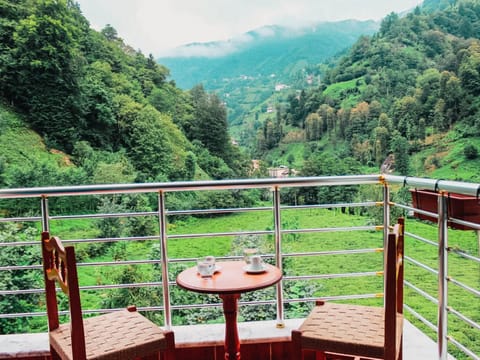 Property building, Patio, Nearby landmark, Spring, Day, Natural landscape, View (from property/room), Balcony/Terrace, Seating area, Garden view, Mountain view, River view